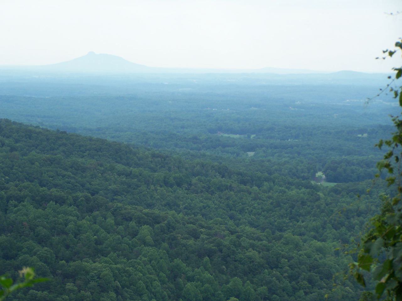 21_longview.jpg